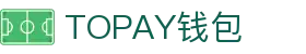 TOPAY钱包 - 安全便捷的个人财务管理工具